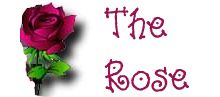 the rose by joann